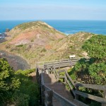 Wooden Stairs Leading Down to the Beach Below