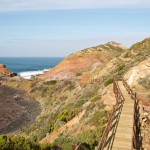 The Cape Walking Track