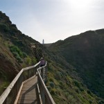 Heading Back up The Cape Walking Track Boardwalk